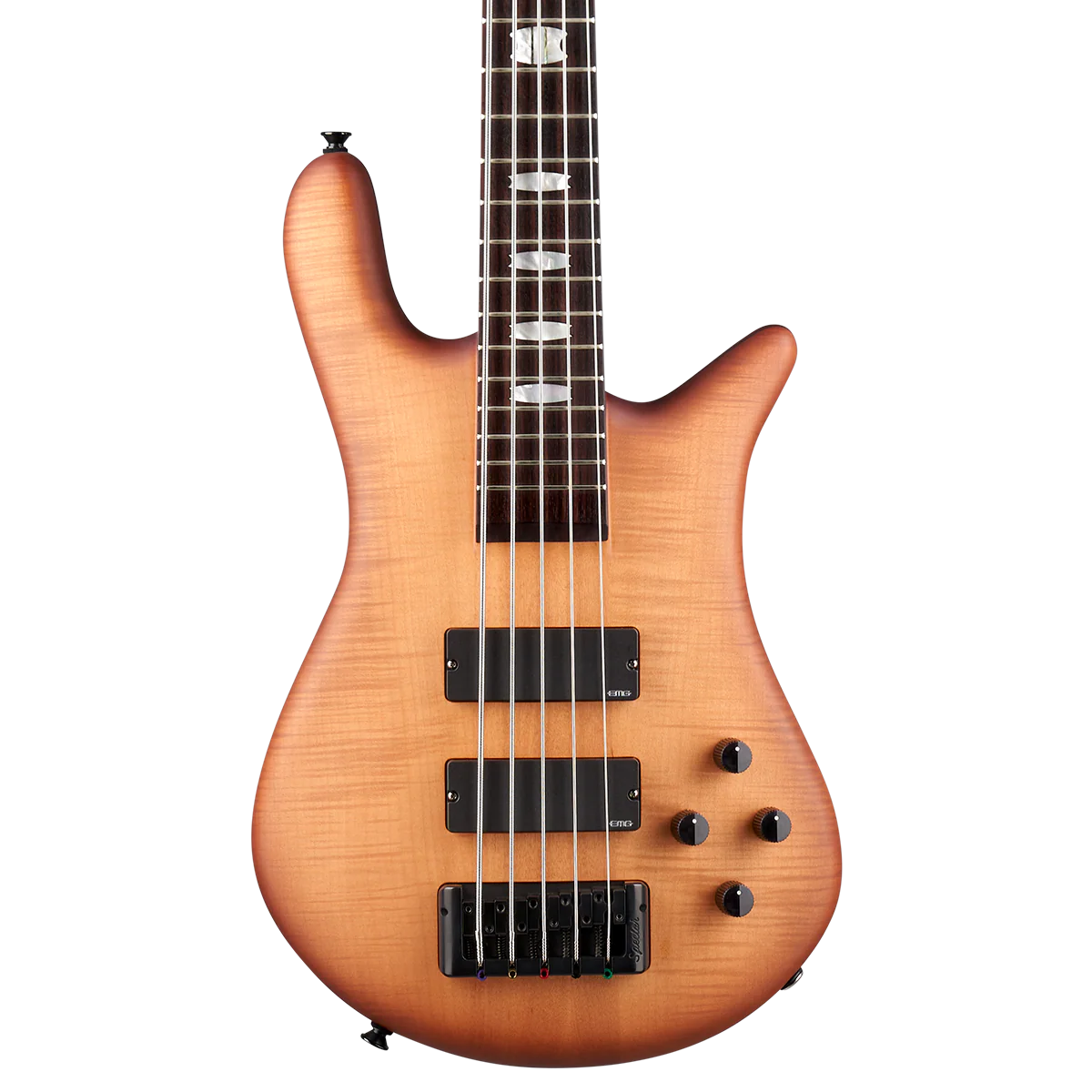 Euro LX Neck-Thru 5 String - Image 3